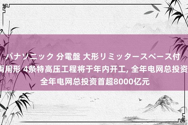 パナソニック 分電盤 大形リミッタースペース付 露出・半埋込両用形 4条特高压工程将于年内开工， 全年电网总投资首超8000亿元