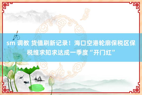 sm 调教 货值刷新记录！海口空港轮廓保税区保税维求知求达成一季度“开门红”