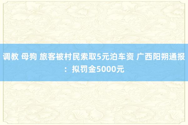 调教 母狗 旅客被村民索取5元泊车资 广西阳朔通报：拟罚金5000元