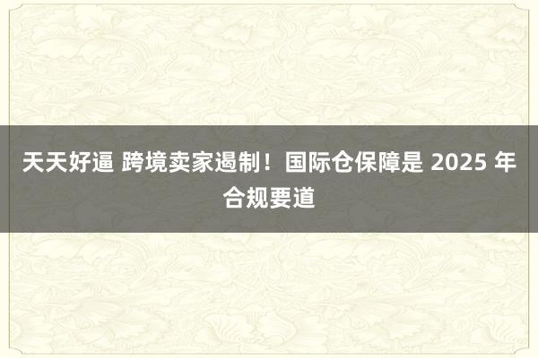 天天好逼 跨境卖家遏制！国际仓保障是 2025 年合规要道