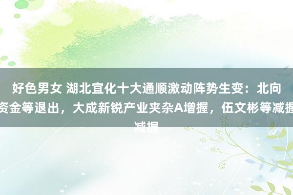 好色男女 湖北宜化十大通顺激动阵势生变：北向资金等退出，大成新锐产业夹杂A增握，伍文彬等减握