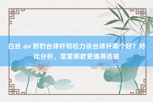 白丝 av 野豹台球杆和松力谈台球杆哪个好？对比分析，望望哪款更值得选拔