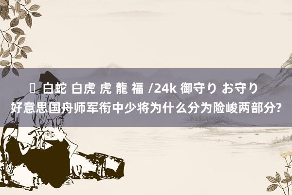 ✨白蛇 白虎 虎 龍 福 /24k 御守り お守り 好意思国舟师军衔中少将为什么分为险峻两部分?