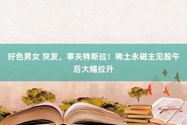 好色男女 突发，事关特斯拉！稀土永磁主见股午后大幅拉升