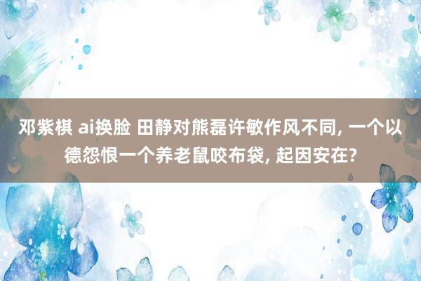 邓紫棋 ai换脸 田静对熊磊许敏作风不同， 一个以德怨恨一个养老鼠咬布袋， 起因安在?