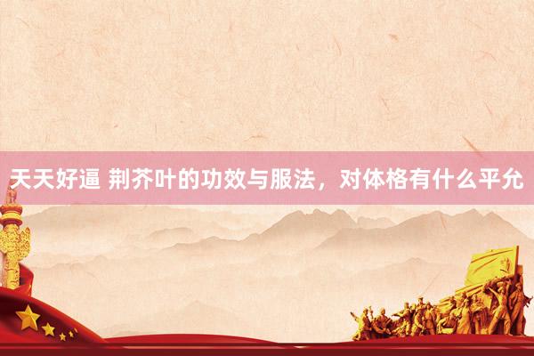 天天好逼 荆芥叶的功效与服法，对体格有什么平允