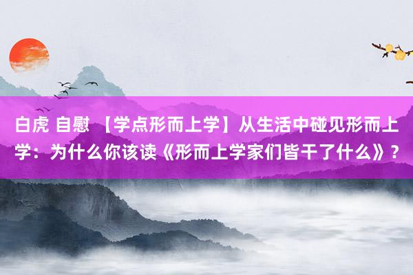 白虎 自慰 【学点形而上学】从生活中碰见形而上学：为什么你该读《形而上学家们皆干了什么》？